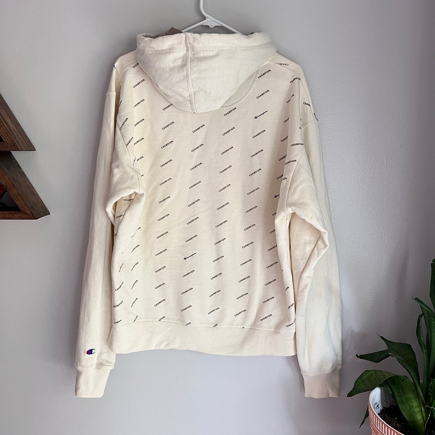 Champion Logo Hoodie