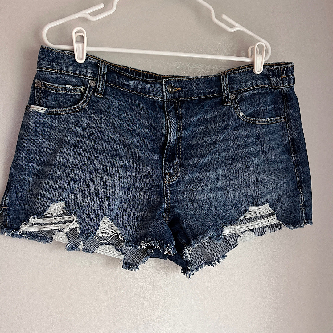 Aerie Daydream Denim Shorts