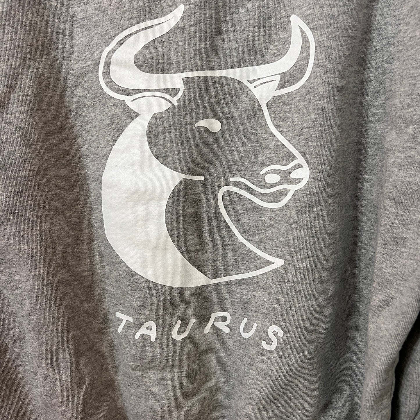 Good American Taurus Crewneck Sweatshirt