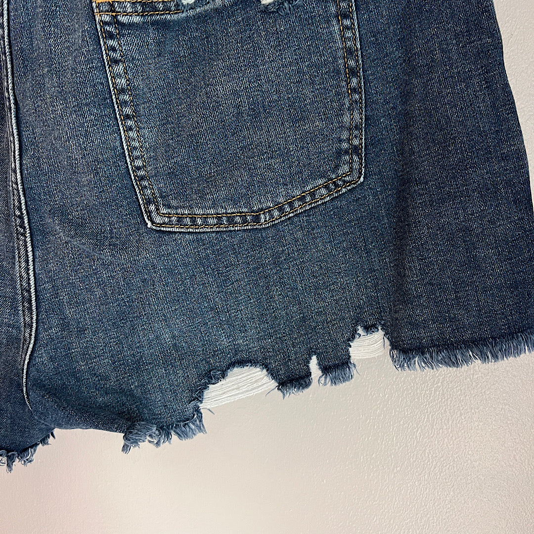 Aerie Daydream Denim Shorts