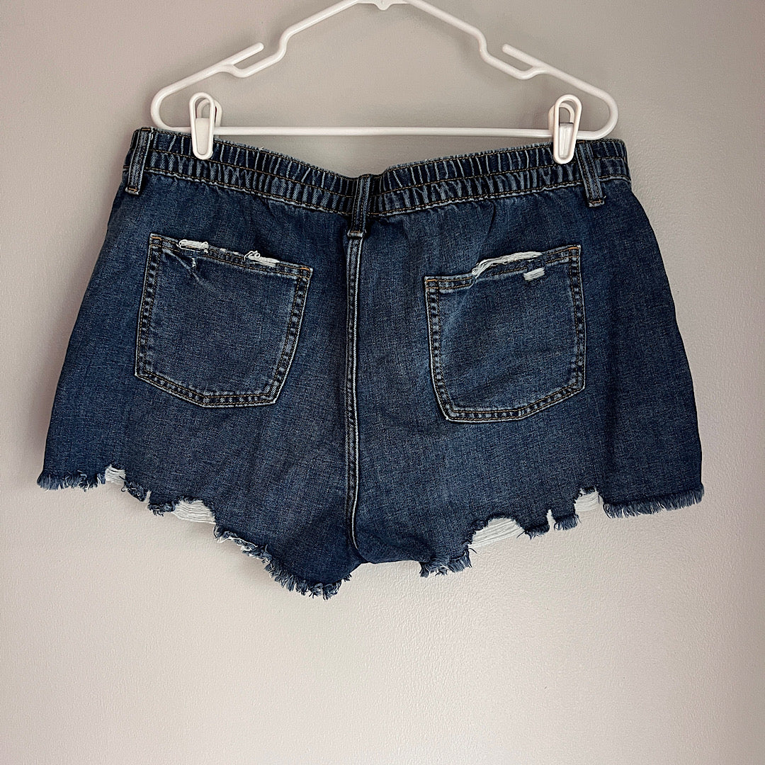 Aerie Daydream Denim Shorts
