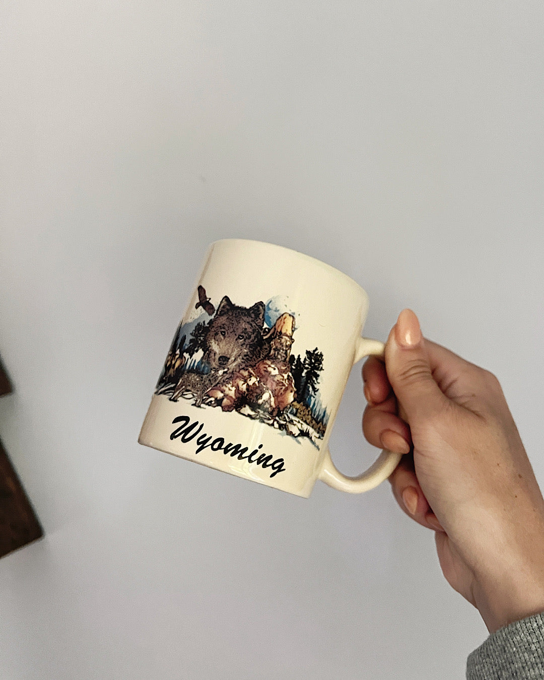 Vintage Wyoming Wildlife Souvenir Mug