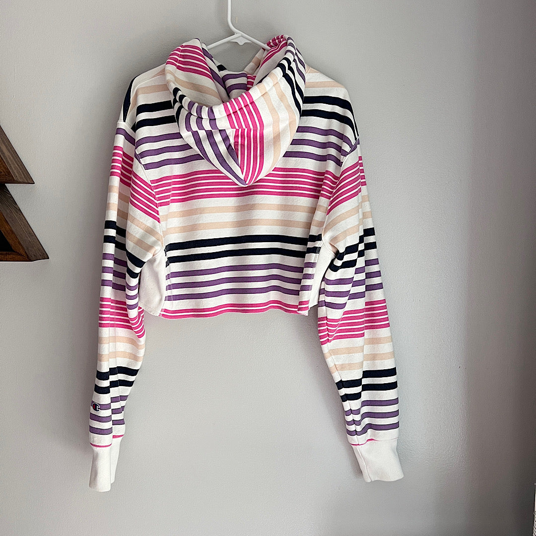 Champion UO Cropped Hoodie