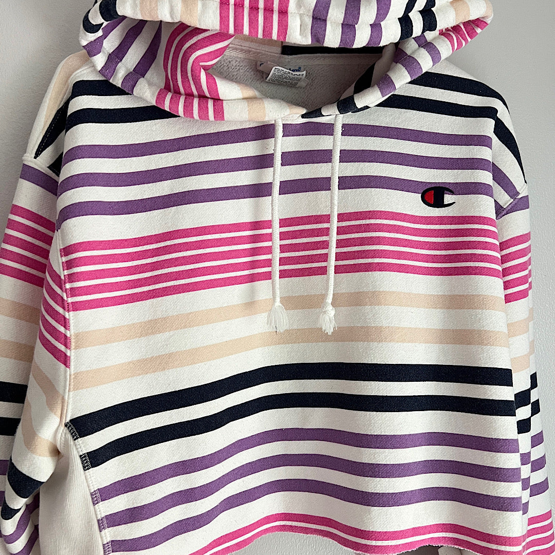 Champion UO Cropped Hoodie