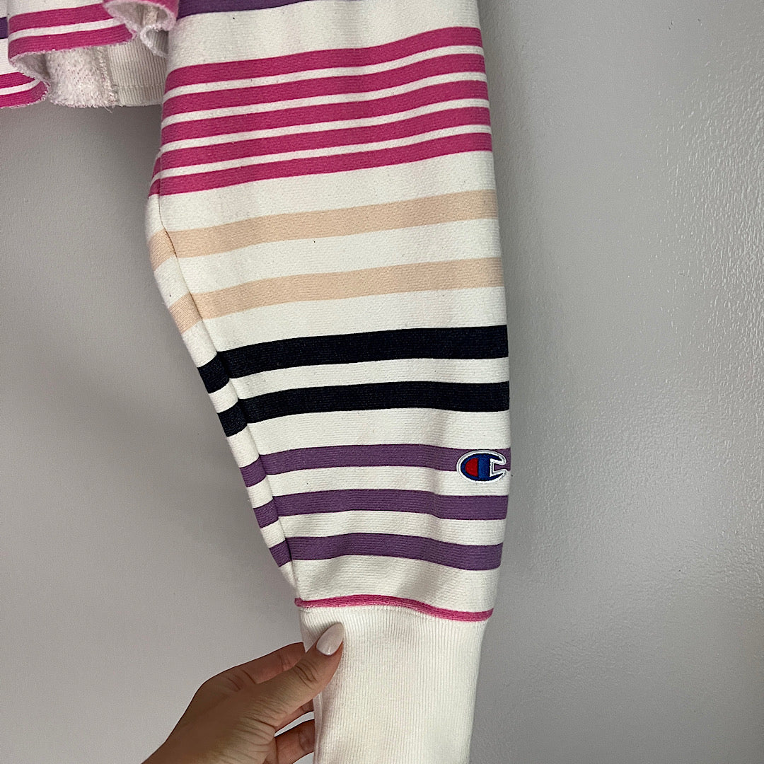 Champion UO Cropped Hoodie