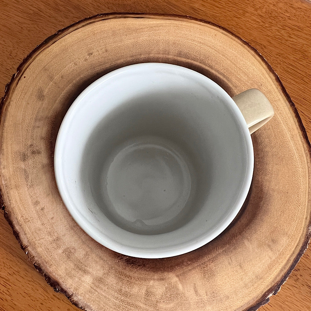 Vintage San Diego Souvenir Mug
