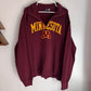 MN College Sports 1/4 Zip Sweatshirt