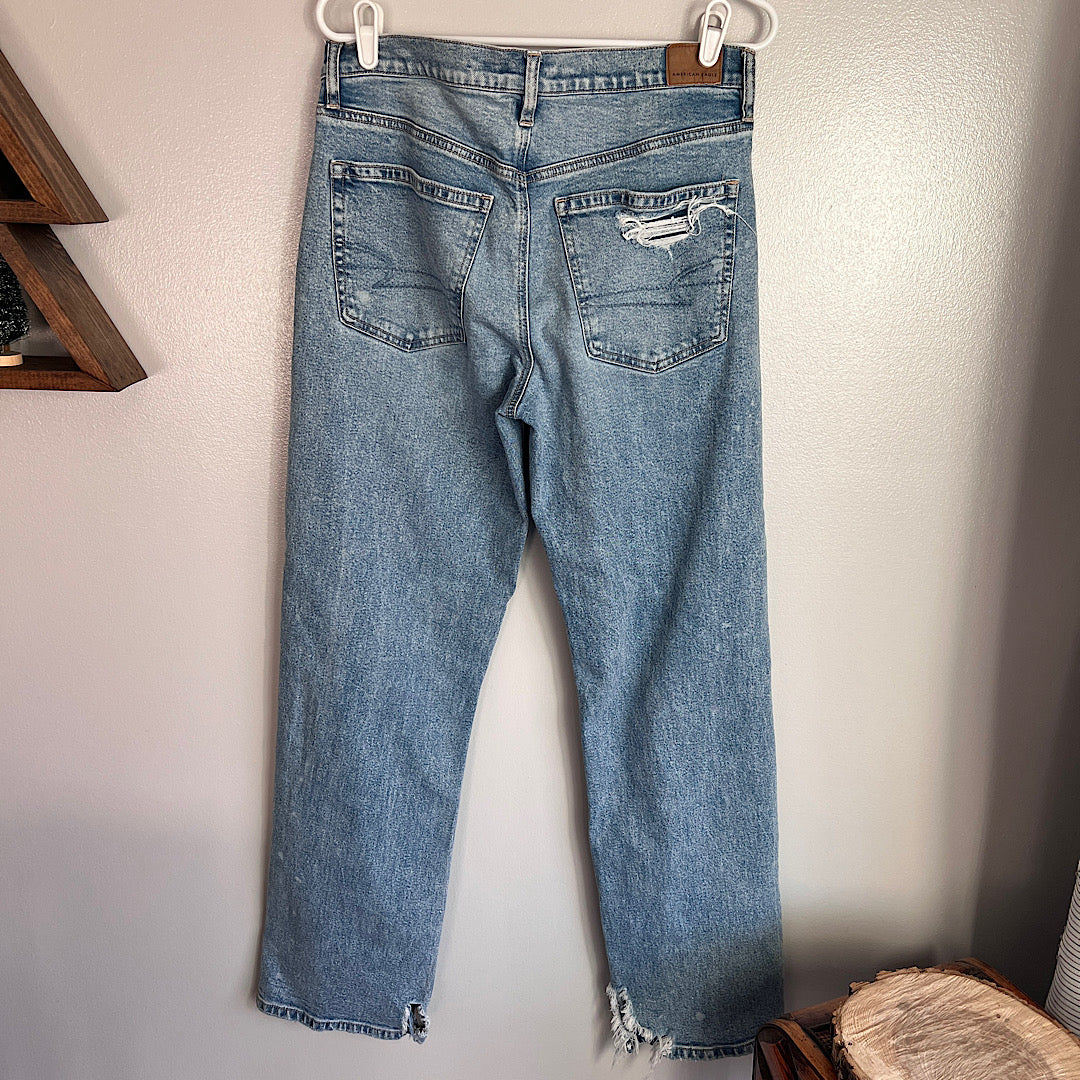 American Eagle Low Rise Baggy Straight Jeans (6L)