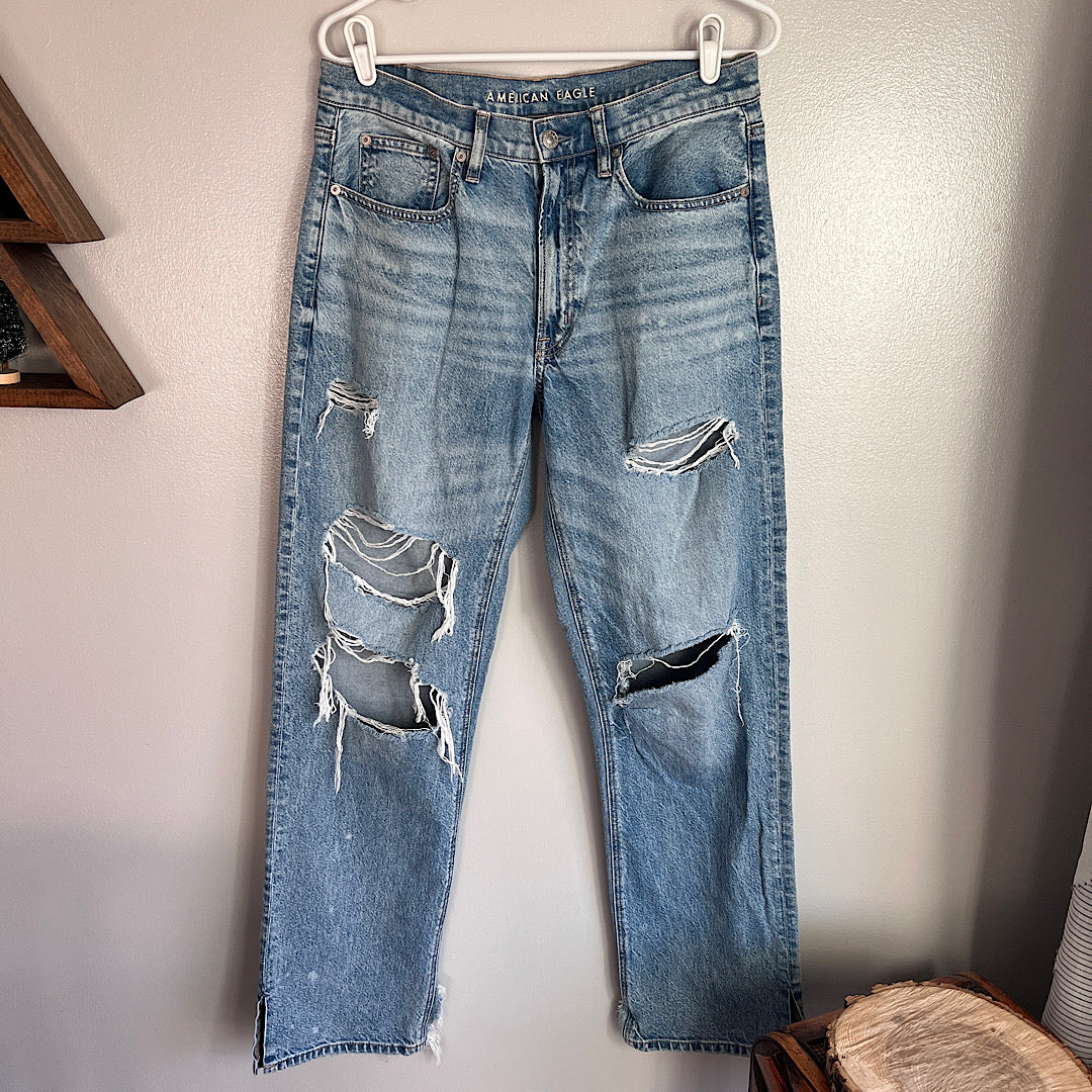 American Eagle Low Rise Baggy Straight Jeans (6L)
