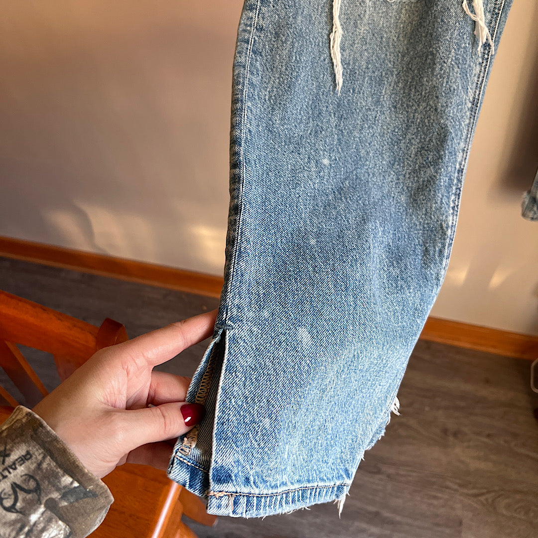 American Eagle Low Rise Baggy Straight Jeans (6L)