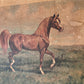 Vintage Horse Print (14"x11")