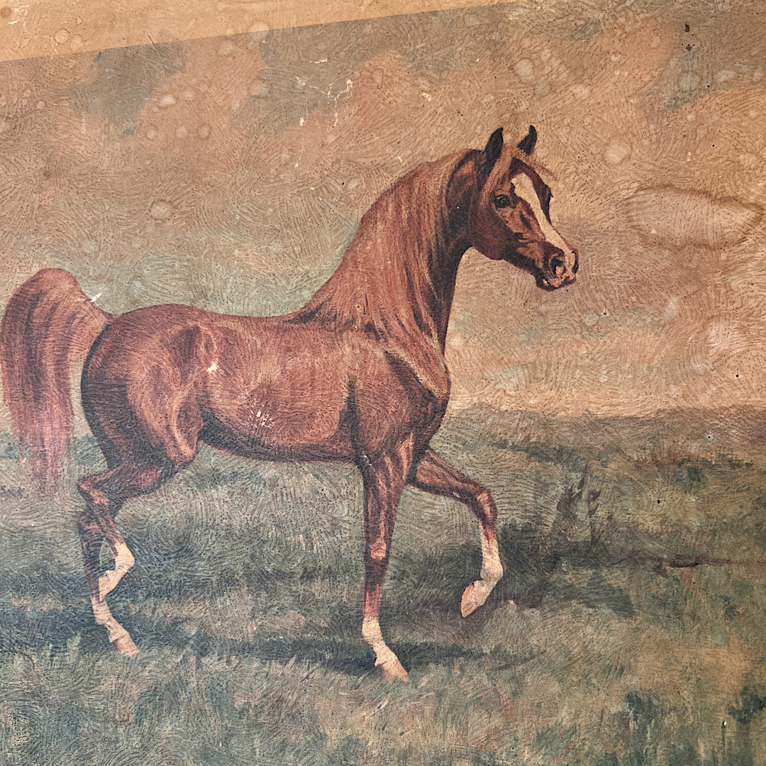 Vintage Horse Print (14"x11")