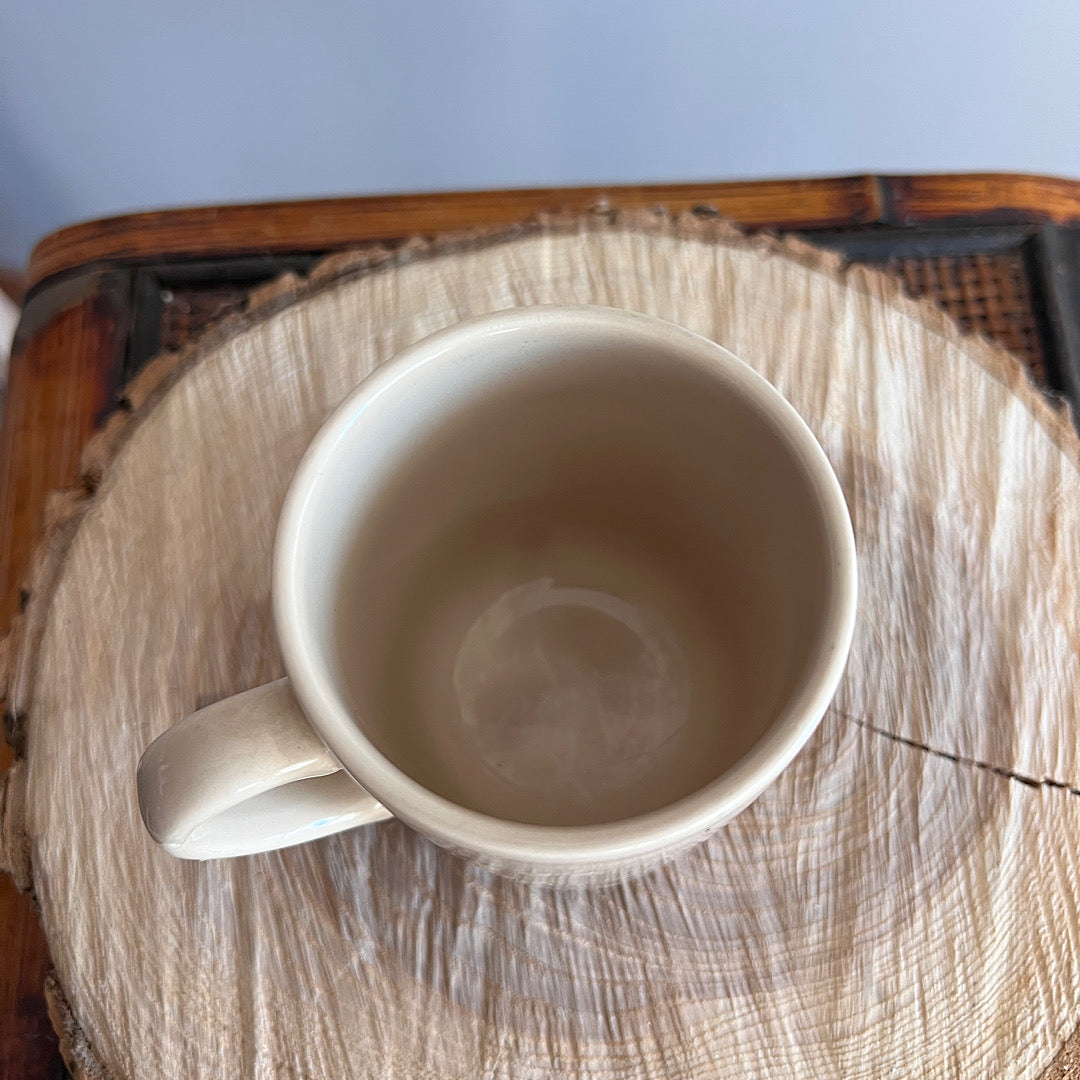 Vintage Moose Outdoors Mug