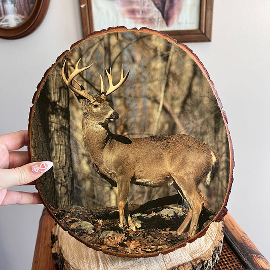 Vintage Live Edge Deer Decor